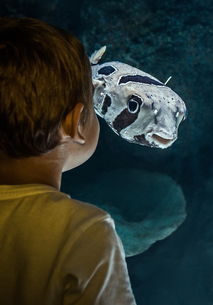 宝宝耳朵进水发炎怎么办怎么预防中耳炎？